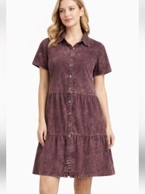 Given Kale Distressed Denim Button Up Dress